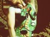 dragon on Elly