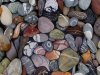 There’s Something Amazing Hiding in These Rocks. Can You See It?