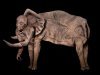 Artist Uses Body Paint to Transform Three Women Into Elephant