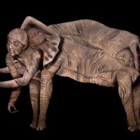 Artist Uses Body Paint to Transform Three Women Into Elephant